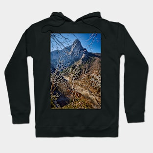 Alpine landscape Hoodie